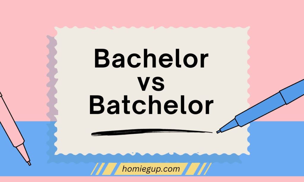 Bachelor vs Batchelor Feature Image