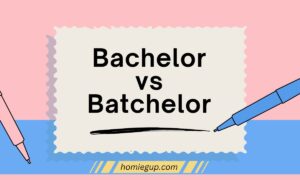 Bachelor vs Batchelor Feature Image
