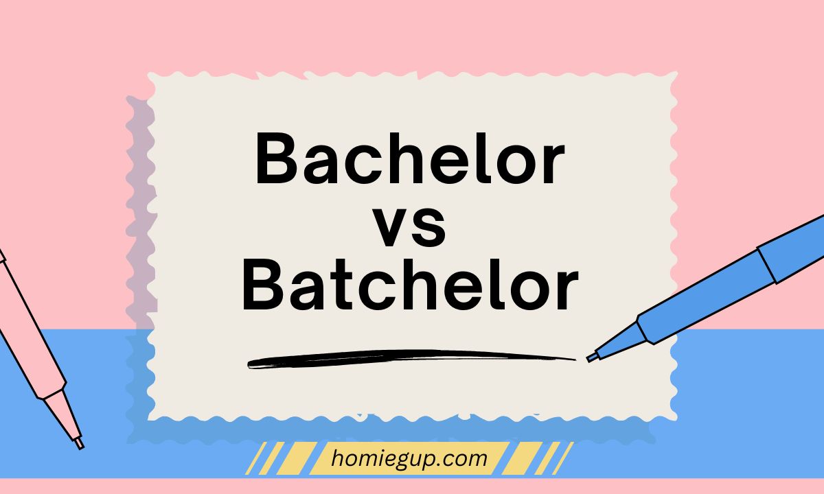 Bachelor vs Batchelor Feature Image