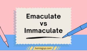 Emaculate vs Immaculate Feature Image