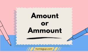 Amount or Ammount